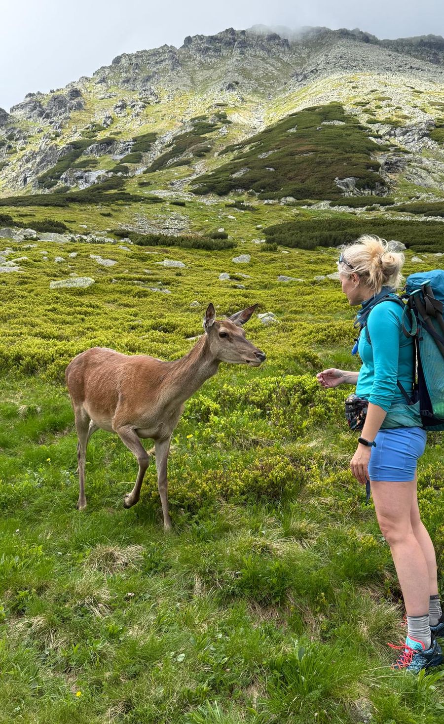 Jagoda Pasko meeting a deer while hiking in the mountains